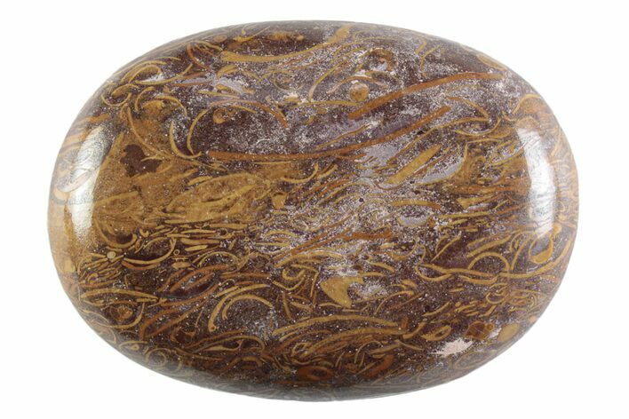 Polished Miriam Stone Palm Stone - India #365875